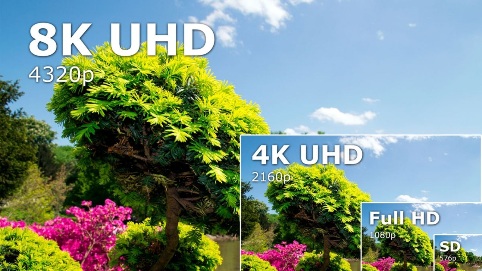 8K Nedir? 4K’dan Ne Farkı Var? 2 8k nedir 4kdan ne farki var 0 LgNjVhN2