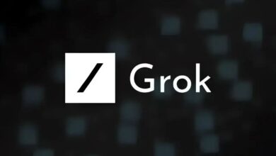 xaiden grok krizi sonrasi aciklama guvenlik artiyor GbAgJcLj