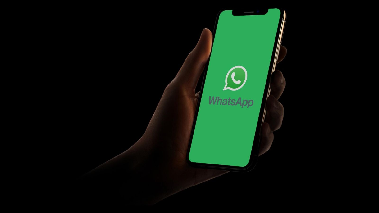 WhatsApp Temaları Genişliyor: 18 Yeni Renk Seçeneği Geliyor 2 whatsapp temalari genisliyor 18 yeni renk secenegi geliyor 0 5fUaiIdu
