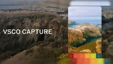 iphone sahipleri icin vsco capture yayinlandi D43MBNub