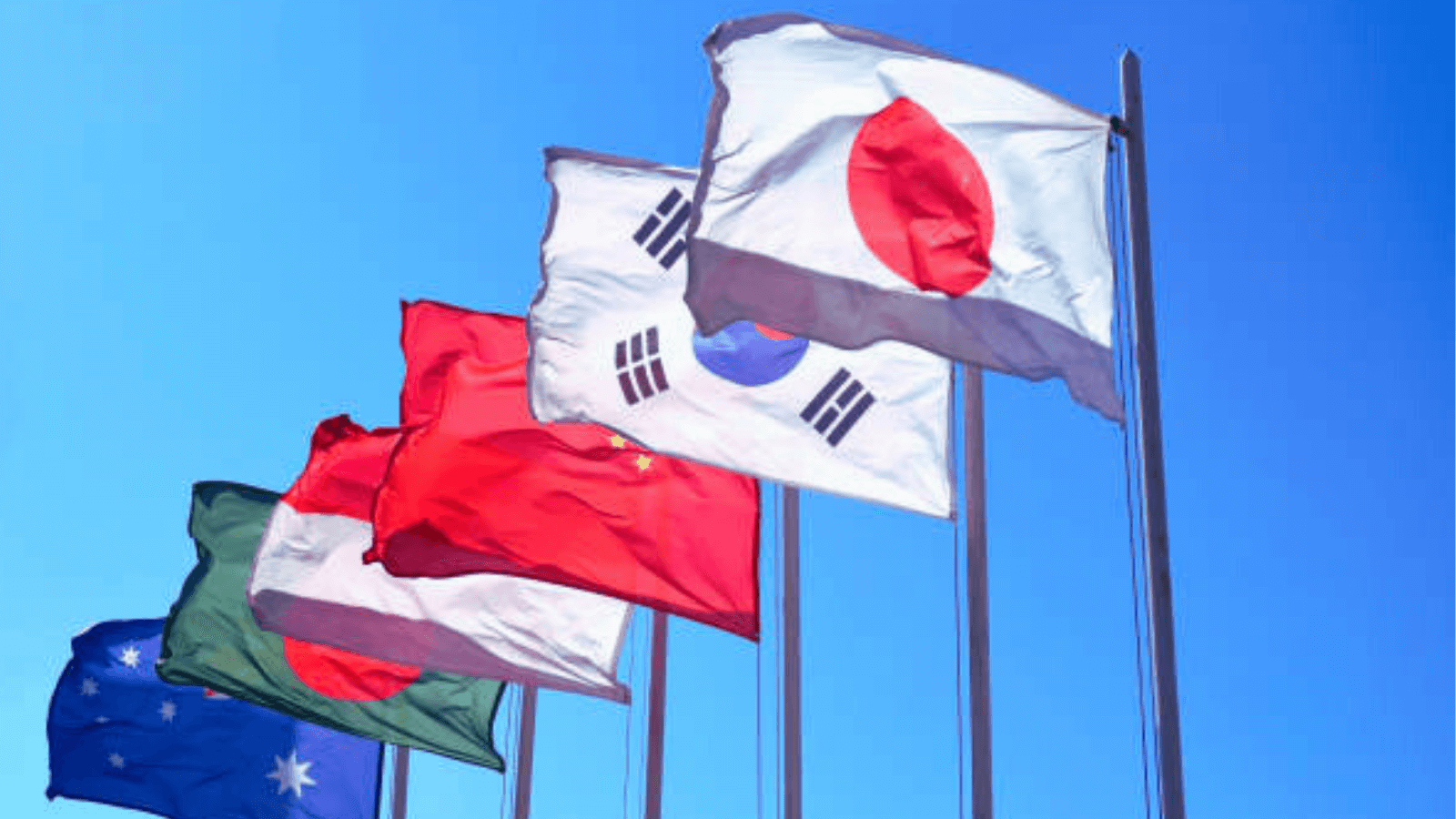 Apple Zor Durumda: Japonya WebKit Zorunluluğunu Kaldırıyor 2 apple zor durumda japonya webkit zorunlulugunu kaldiriyor 0 sKBMAkWk