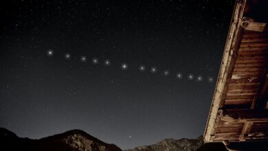 dunyanin ilk starlink tabanli iot agi yeni zelandada ari kovanlari uydudan izleniyor 6PNWgwIi