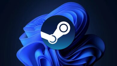 windows 11 steam oyunculari arasinda yukseliste za24akkL